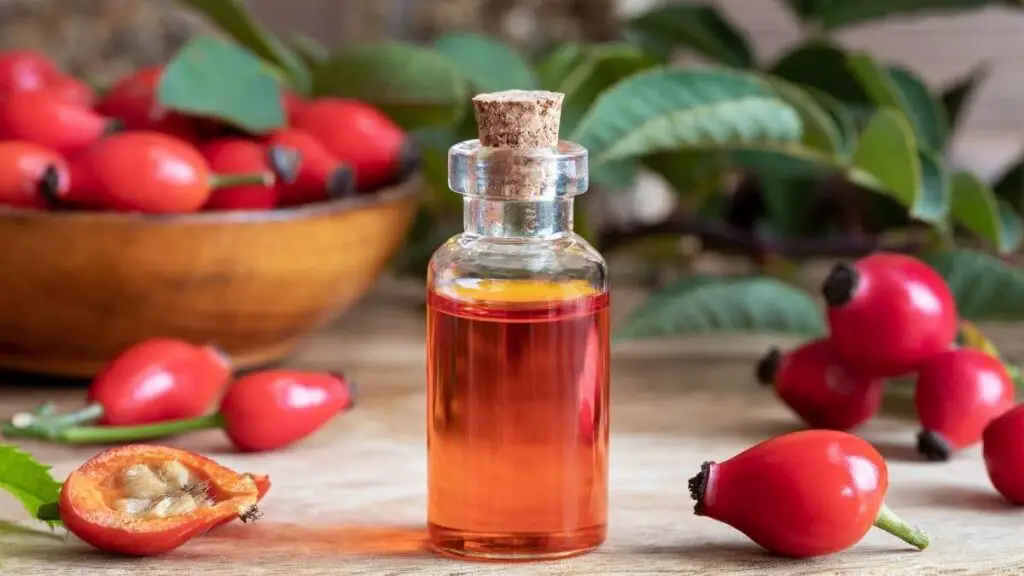 Rosehip oil Efficacy and usage 