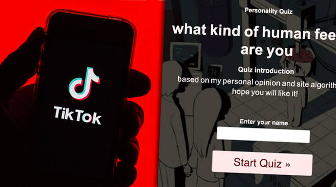 The 'Human Emotion quiz' is going viral on TikTok