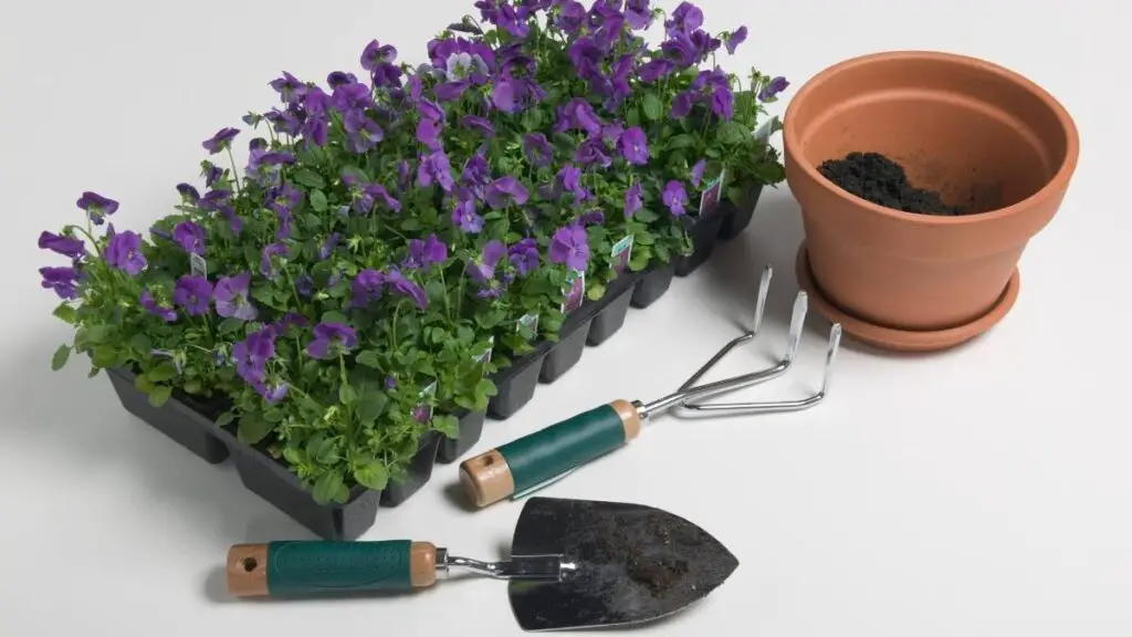 Recommended gardening supplies