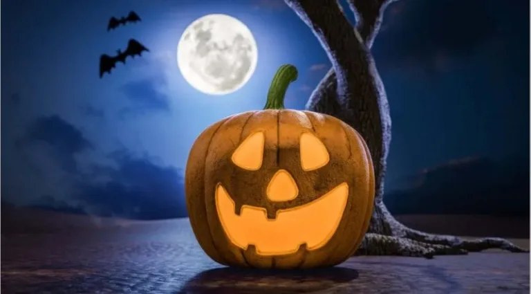 Halloween mode in WhatsApp: what is it and how to activate it?