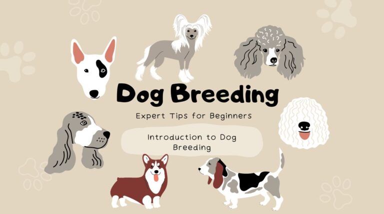 Dog-Breeding-Expert-Tips-for-Beginners