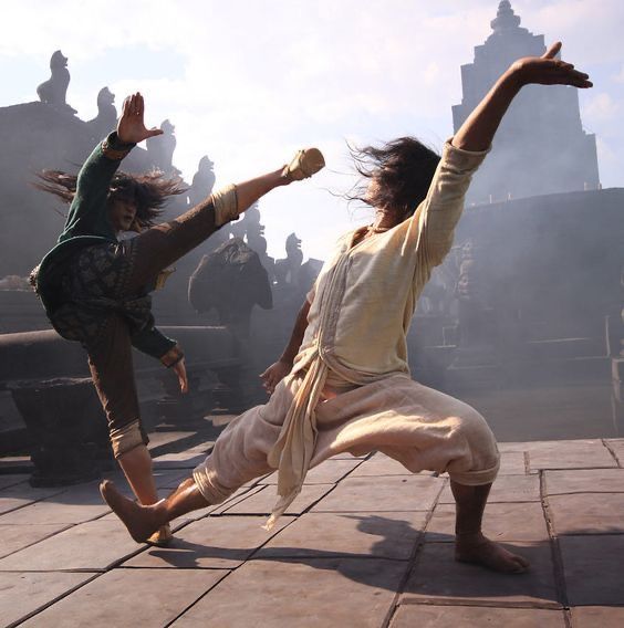 Video AI Kungfu